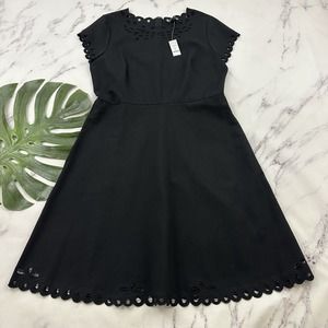 WHBM White House Black Market Laser Cut Dress Size 14 New Scallop Lace Eyelet